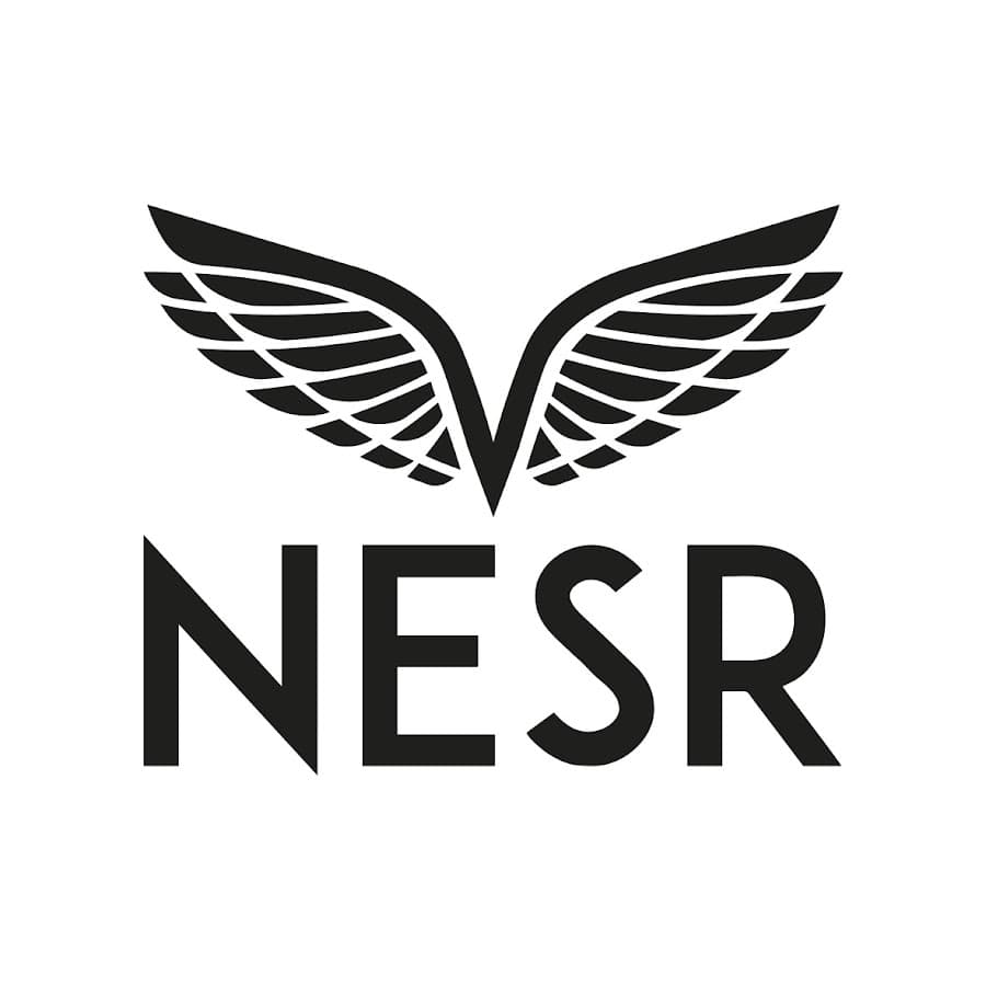 NESR PO Expediting Tool
